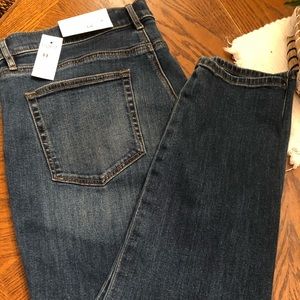 Loft New Jeans